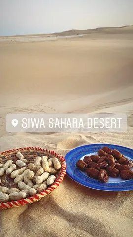 Oaza Siwa 