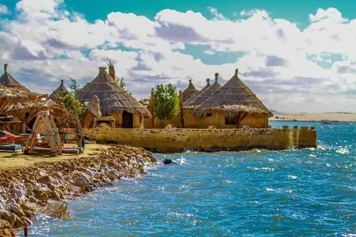 Oaza Siwa 