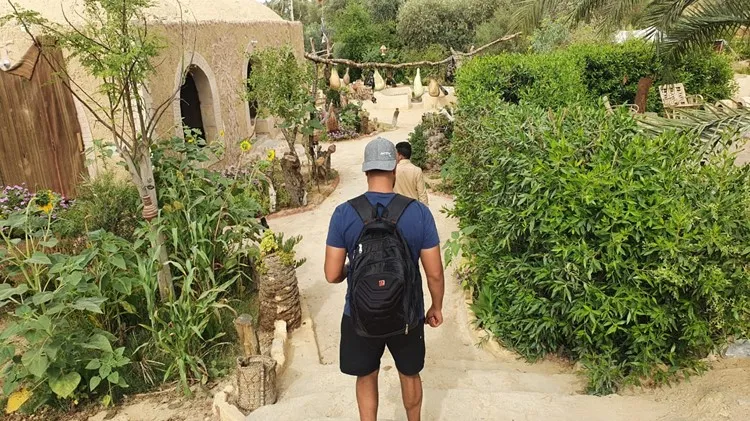 Oaza Siwa 
