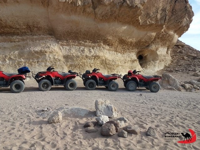 Family safari 