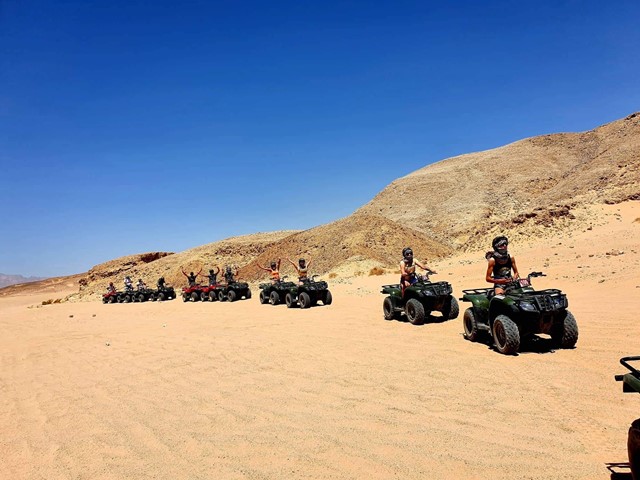 Family safari 