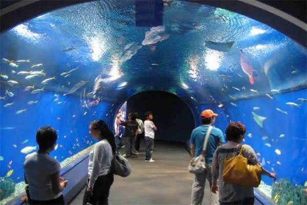 Grand Aquarium 
