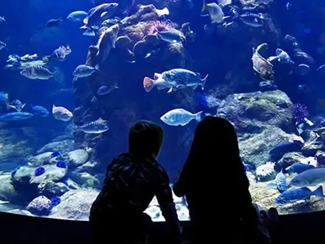 Grand Aquarium 