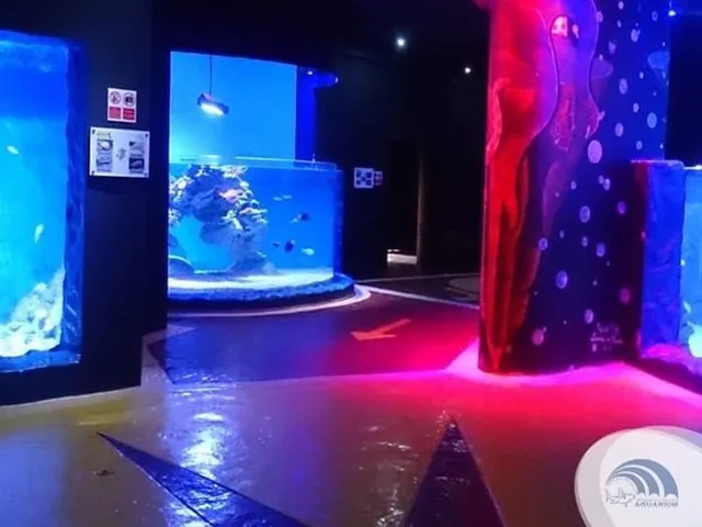 Grand Aquarium 