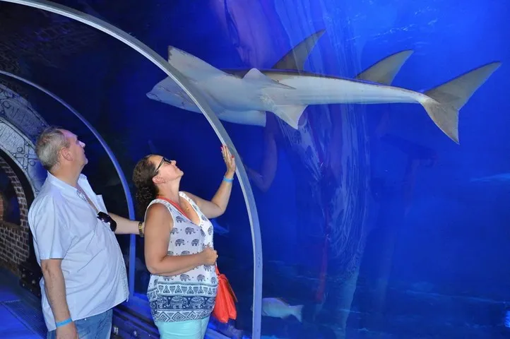 Grand Aquarium 