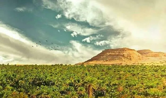 Oaza Siwa 