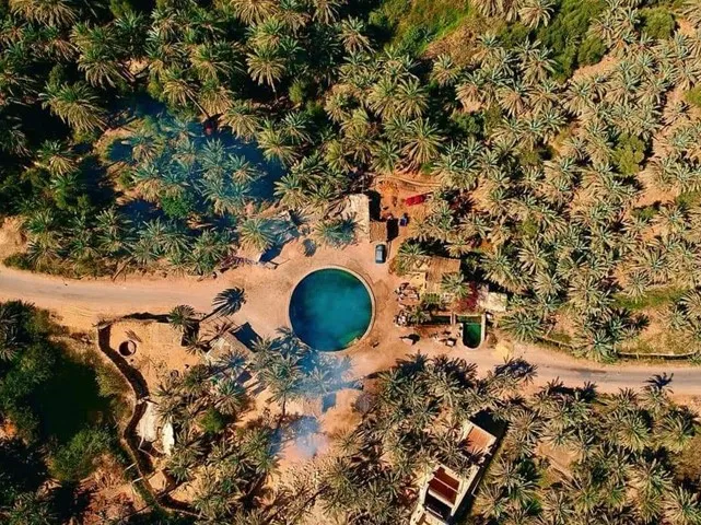 Oaza Siwa 