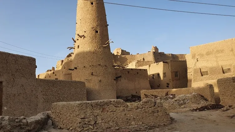 Oaza Siwa 