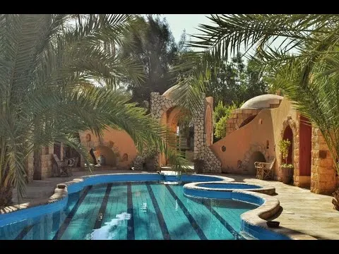 Oaza Siwa 