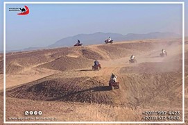 safari-desert