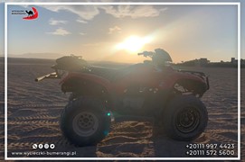 safari-desert