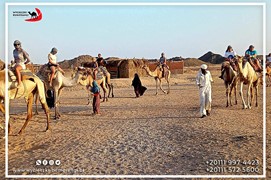 safari-desert